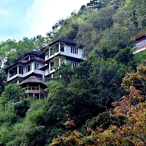 Blackberry Hills Nature & Station touristique Munnar